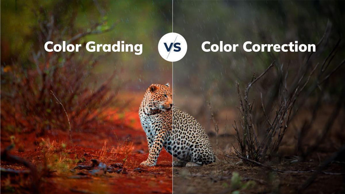 Color Correction and Grading